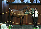 OBS Yearling Sale Still Surging on Day 2 OBS Yearling Sale Still Surging on Day 2