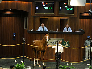 Brisk Final Day for OBS August Yearling Sale Brisk Final Day for OBS August Yearling Sale