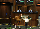 Brisk Final Day for OBS August Yearling Sale Brisk Final Day for OBS August Yearling Sale