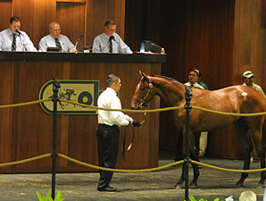 OBS August Yearling Sale Finishes Positively OBS August Yearling Sale Finishes Positively
