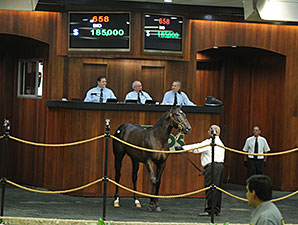 OBS August Yearling Sale Ends With Declines OBS August Yearling Sale Ends With Declines