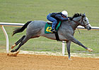 OBS Catalog Has 172 Horses OBS Catalog Has 172 Horses