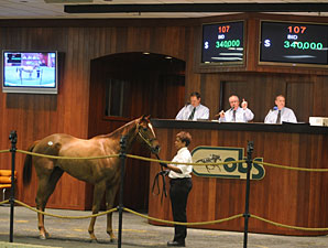 OBS February Sale Gross Falls 29.3% OBS February Sale Gross Falls 29.3%