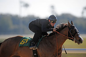 Cuvee Filly Fastest at OBS Cuvee Filly Fastest at OBS