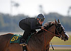 Cuvee Filly Fastest at OBS