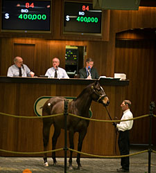 Harlan's Holiday Filly Sells for $400,000 Harlan's Holiday Filly Sells for $400,000