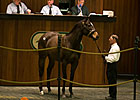 Harlan's Holiday Filly Sells for $400,000 