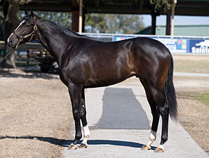 Three Horses Bring $400,000 or More at OBS Three Horses Bring $400,000 or More at OBS