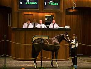 Tiznow Colt Brings $475,000 at OBS Sale Tiznow Colt Brings $475,000 at OBS Sale