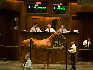 OBS Winter Mixed Sale Has 522 Horses OBS Winter Mixed Sale Has 522 Horses