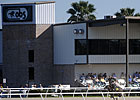 Mood Upbeat for OBS February Sale