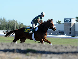 OBS Spring Sale Has 1,196 Juveniles OBS Spring Sale Has 1,196 Juveniles