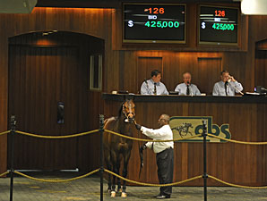 Casse Buys $425K A.P. Indy Colt at OBS Casse Buys $425K A.P. Indy Colt at OBS