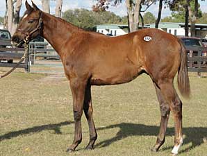 Average Drops 63% at OBS Mixed Sale Average Drops 63% at OBS Mixed Sale