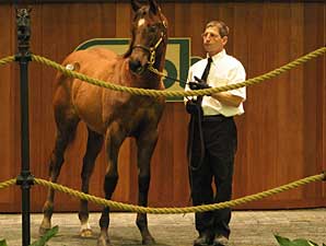 OBS Mixed Sale Ends With Big Downturns OBS Mixed Sale Ends With Big Downturns
