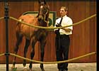 OBS Mixed Sale Ends With Big Downturns OBS Mixed Sale Ends With Big Downturns