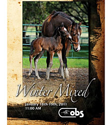OBS Winter Mixed Sale Off to a Strong Start OBS Winter Mixed Sale Off to a Strong Start