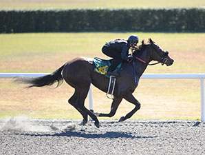 Consignors Expecting Positive OBS Auction Consignors Expecting Positive OBS Auction