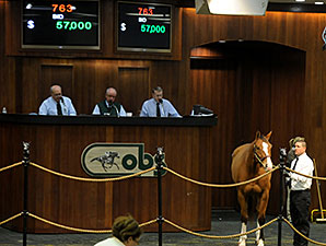 OBS Winter Mixed Sale Ends on Solid Note OBS Winter Mixed Sale Ends on Solid Note