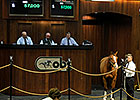 OBS Winter Mixed Sale Ends on Solid Note OBS Winter Mixed Sale Ends on Solid Note