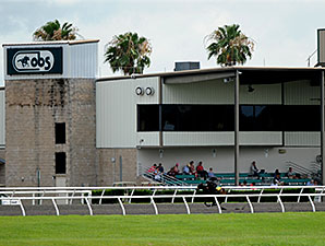 Octet Ties for Fastest Furlong at OBS Preview Octet Ties for Fastest Furlong at OBS Preview