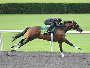 Scat Daddy Duo Paces OBS June Preview Finale Scat Daddy Duo Paces OBS June Preview Finale