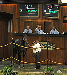 4-Day OBS June Sale Ends on Successful Note 4-Day OBS June Sale Ends on Successful Note