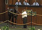 4-Day OBS June Sale Ends on Successful Note 4-Day OBS June Sale Ends on Successful Note