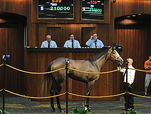Rockport Harbor Filly Tops OBS June Session Rockport Harbor Filly Tops OBS June Session