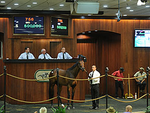 OBS June Sale Hits Stride in Third Session OBS June Sale Hits Stride in Third Session
