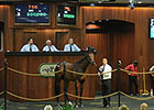OBS June Sale Hits Stride in Third Session OBS June Sale Hits Stride in Third Session