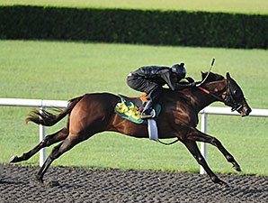 Macho Uno Filly Blazes at OBS June Preview Macho Uno Filly Blazes at OBS June Preview