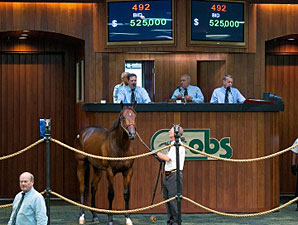 Records Fall at OBS June Sale of 2-Year-Olds Records Fall at OBS June Sale of 2-Year-Olds