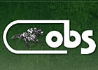 Tale of the Cat Yearling Tops OBS Finale Tale of the Cat Yearling Tops OBS Finale
