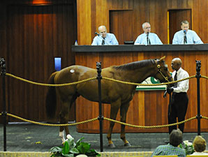 OBS March Sale Sets Records OBS March Sale Sets Records