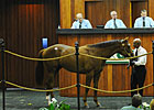 OBS March Sale Sets Records OBS March Sale Sets Records