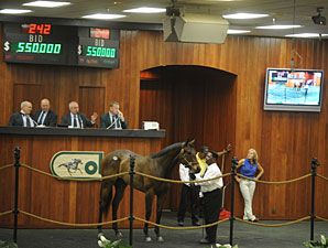 White Lamb Sells for $550,000 at OBS White Lamb Sells for $550,000 at OBS