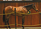 Looking Back: Reflections on OBS Market Looking Back: Reflections on OBS Market