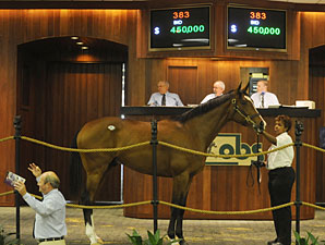 El Prado Colt Sells for $450,000 at OBS El Prado Colt Sells for $450,000 at OBS
