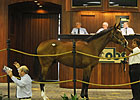 OBS March Sale Gross Declines 38% OBS March Sale Gross Declines 38%