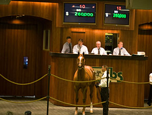 Mr. Greeley Colt Brings $260,000 at OBS Mr. Greeley Colt Brings $260,000 at OBS