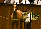 Mr. Greeley Colt Brings $260,000 at OBS