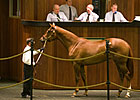 More Than Ready Filly Sells for $525,000
