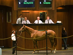 OBS March Sale Results Provide Hope OBS March Sale Results Provide Hope