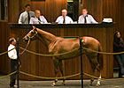 OBS March Sale Results Provide Hope OBS March Sale Results Provide Hope