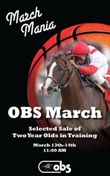 OBS March Sale Has 362 Juveniles Cataloged OBS March Sale Has 362 Juveniles Cataloged