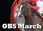 OBS March Sale Has 362 Juveniles Cataloged OBS March Sale Has 362 Juveniles Cataloged