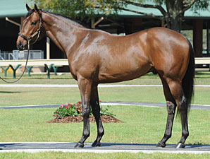 OBS March Sale Ends With $925,000 Bang OBS March Sale Ends With $925,000 Bang