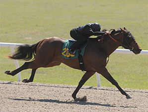 Dixie Union, Flatter 2YOS Set Pace at OBS Dixie Union, Flatter 2YOS Set Pace at OBS