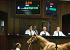 OBS March Sale Ends With $925,000 Bang OBS March Sale Ends With $925,000 Bang